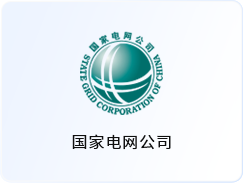 国家电网公司